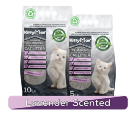kitty max lavana
